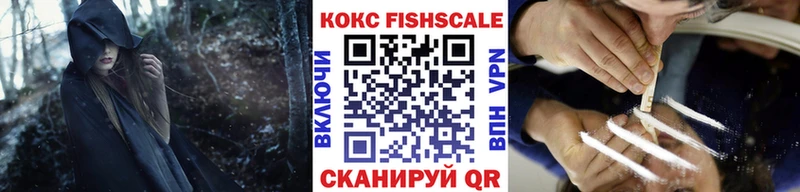 Купить закладки  Кувандык  Cocaine 98% 