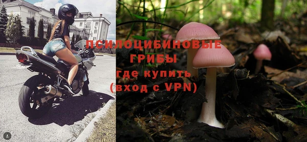 прущие крисы Майский